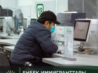 Қазақстанда басқа елдердегідей шетелдік жұмыс күшін тартуға рұқсат беру тәртібі белгіленген